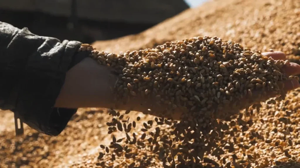 Film reklamowy dla Klienta